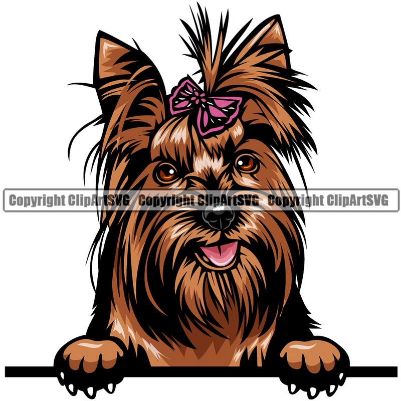 Yorkie Dog Breed Peeking Color ClipArt SVG