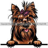 Yorkie Dog Breed Peeking Color ClipArt SVG