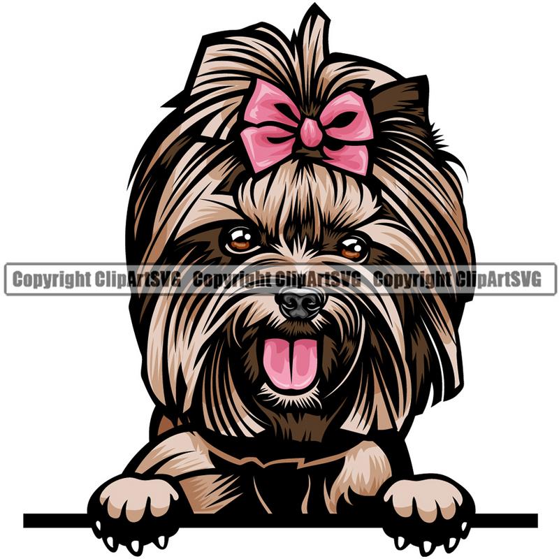 Yorkie Dog Breed Peeking Color ClipArt SVG