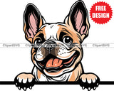 Free French Bulldog Peeking Dog Breed Smiling Face Peek-A-Boo Head Animal Portrait Cute Doggy Adorable Pup Pedigree Puppy Purebred Train Trainer Training Color Design Clipart SVG