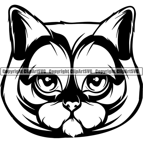 British Shorthair Head Face ClipArt SVG