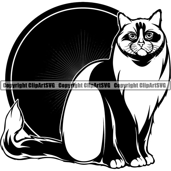 Ragdoll Cat Breed Head Face ClipArt SVG