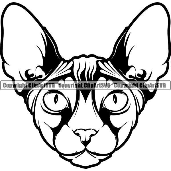 Sphynx Cat Breed Head Face ClipArt SVG