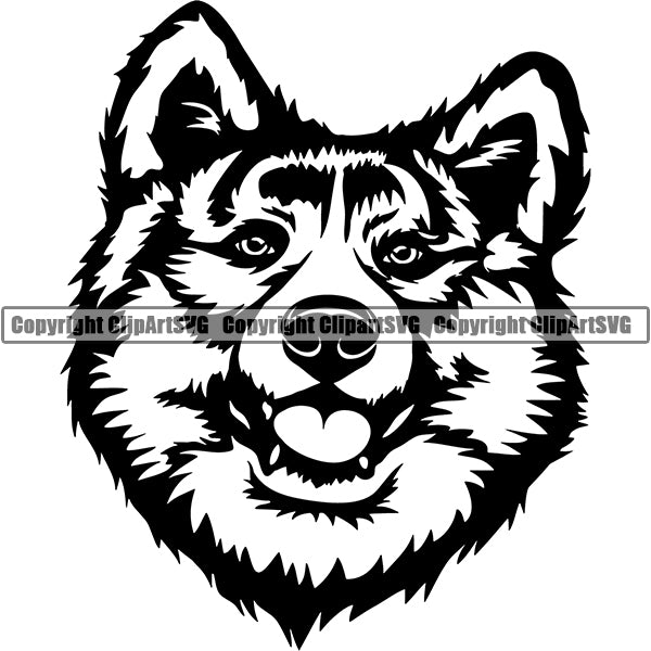 Akita Dog Breed Head Face ClipArt SVG