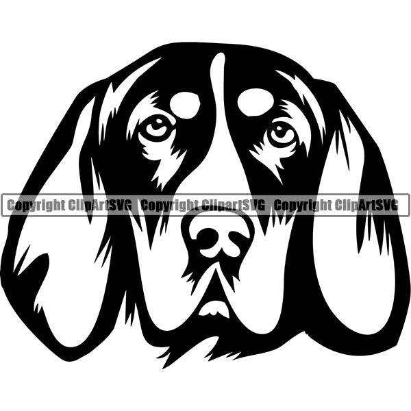 American English Coonhound Dog Breed Head Face ClipArt SVG