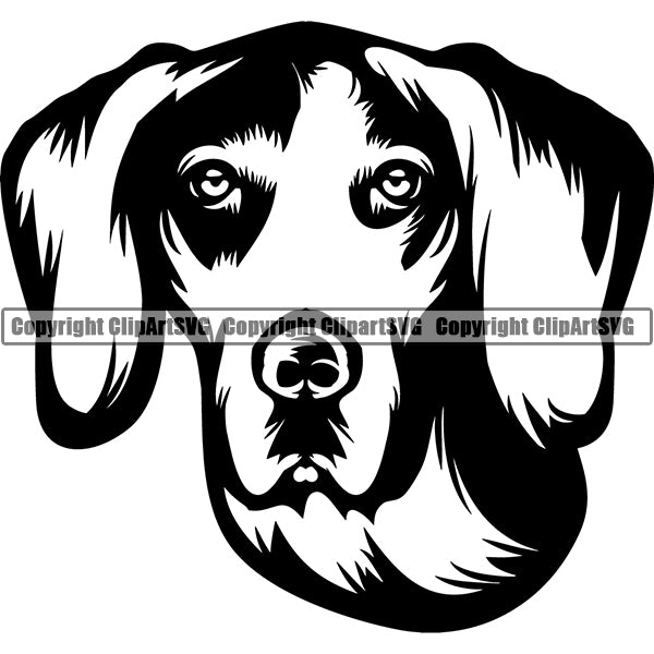 American English Coonhound Dog Breed Head Face ClipArt SVG