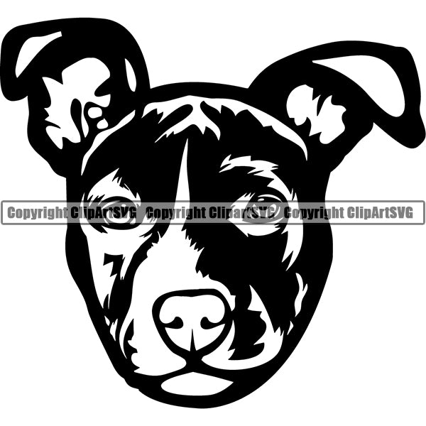 American Staffordshire Terrier Dog Breed Head Face ClipArt SVG