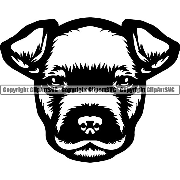 American Staffordshire Terrier Dog Breed Head Face ClipArt SVG