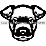 American Staffordshire Terrier Dog Breed Head Face ClipArt SVG