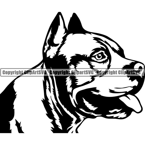 American Staffordshire Terrier Dog Breed Head Face ClipArt SVG