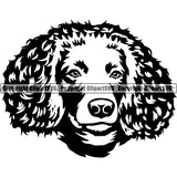 American Water Spaniel Dog Breed Head Face ClipArt SVG