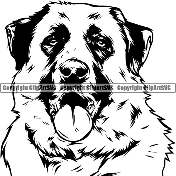 Anatolian Shepherd Dog Breed Head Face ClipArt SVG