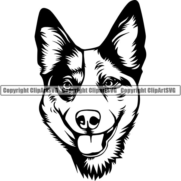 Australian Cattle Dog Breed Head Face ClipArt SVG