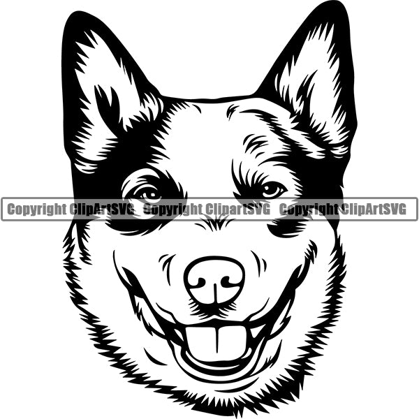 Australian Cattle Dog Breed Head Face ClipArt SVG
