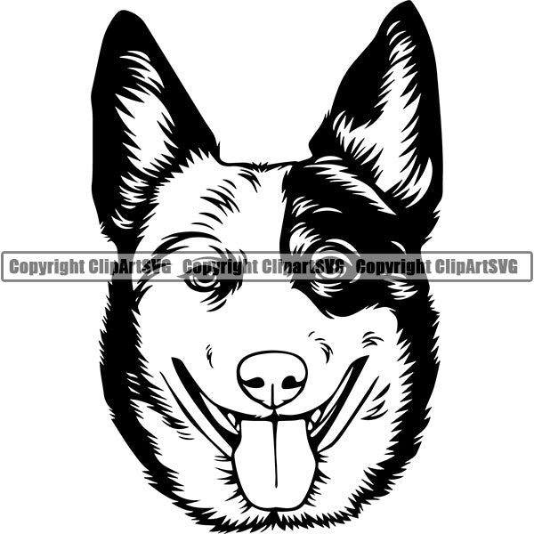 Australian Cattle Dog Breed Head Face ClipArt SVG