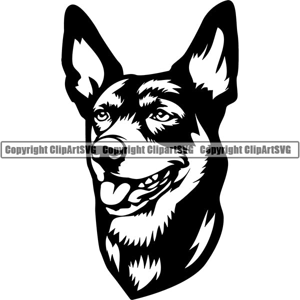 Australian Kelpie Dog Breed Head Face ClipArt SVG