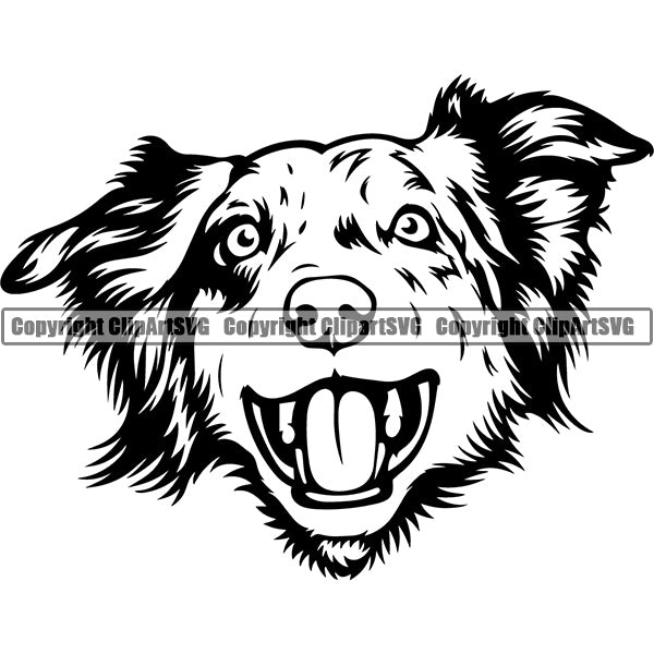 Australian Shepherd Dog Breed Head Face ClipArt SVG