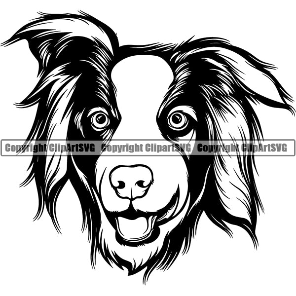 Australian Shepherd Dog Breed Head Face ClipArt SVG