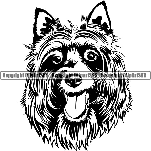 Australian Shepherd Dog Breed Head Face ClipArt SVG