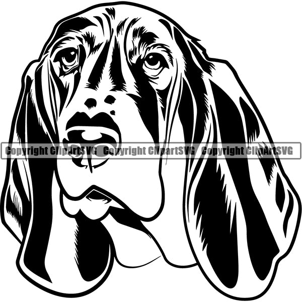 Basset Hound Dog Breed Head Face ClipArt SVG