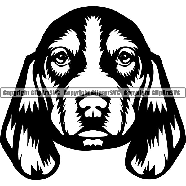 Basset Hound Dog Breed Head Face ClipArt SVG