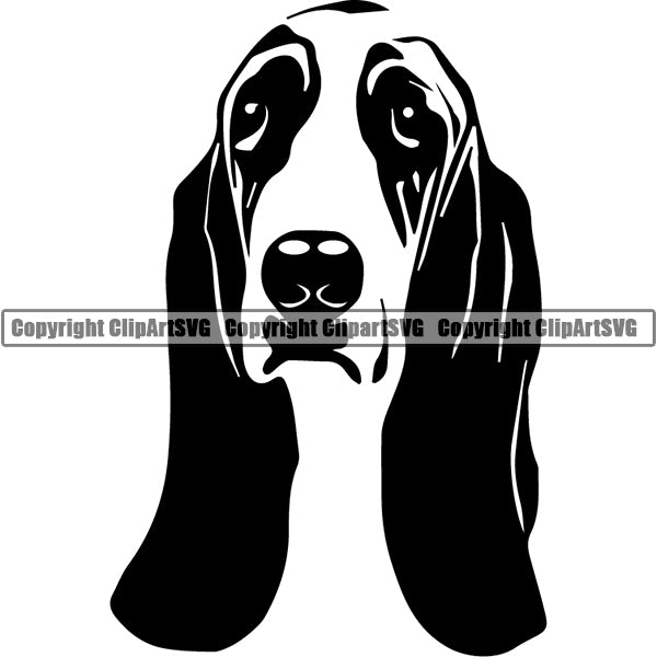 Basset Hound Dog Breed Head Face ClipArt SVG