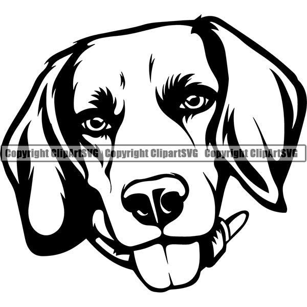 Beagle Dog Breed Head Face ClipArt SVG