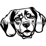 Beagle Dog Breed Head Face ClipArt SVG