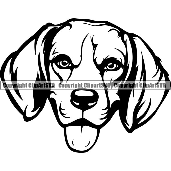 Beagle Dog Breed Head Face ClipArt SVG