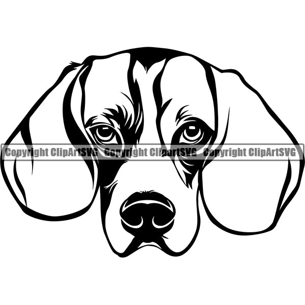 Beagle Dog Breed Head Face ClipArt SVG