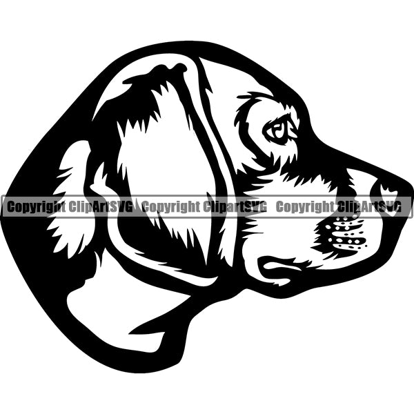 Beagle Dog Breed Head Face ClipArt SVG