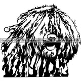 Bergamasco Sheepdog Dog Breed Head Face ClipArt SVG