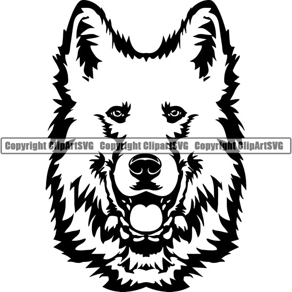 Berger Blanc Suisse Dog Breed Head Face ClipArt SVG