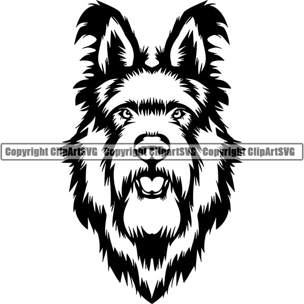 Berger Picard Dog Breed Head Face ClipArt SVG