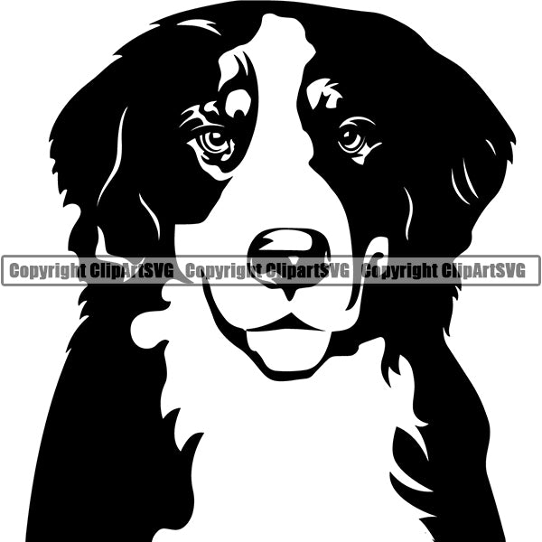 Bernese Mountain Dog Breed Head Face ClipArt SVG
