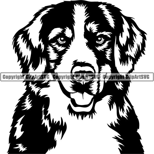 Bernese Mountain Dog Breed Head Face ClipArt SVG