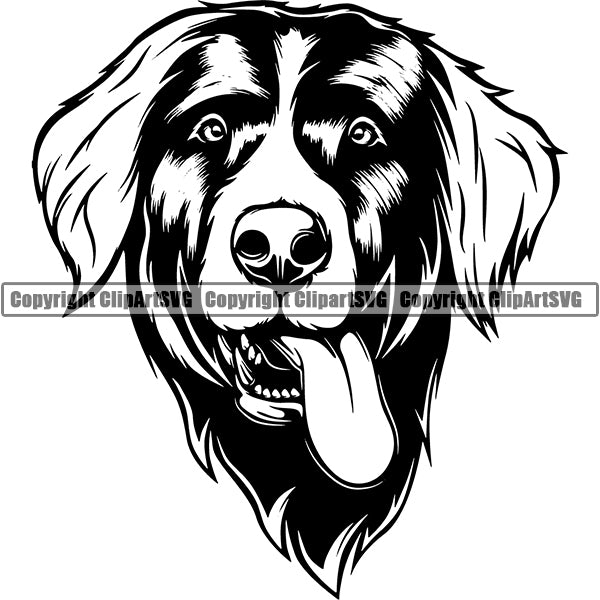 Bernese Mountain Dog Breed Head Face ClipArt SVG
