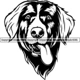 Bernese Mountain Dog Breed Head Face ClipArt SVG