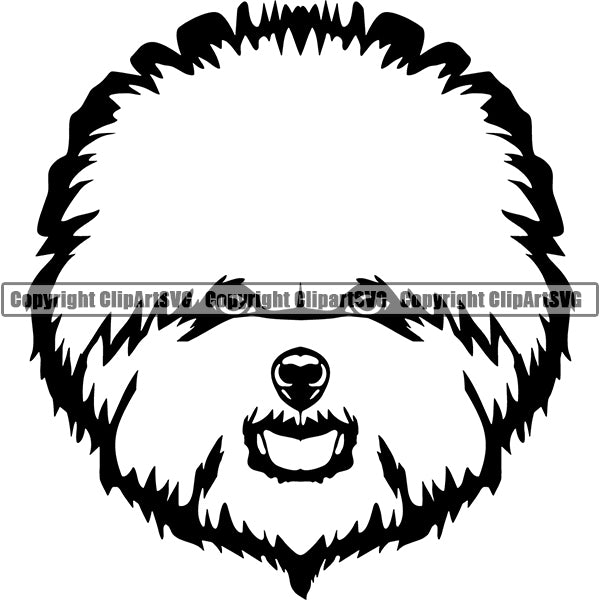 Bichon Frise Dog Breed Head Face ClipArt SVG