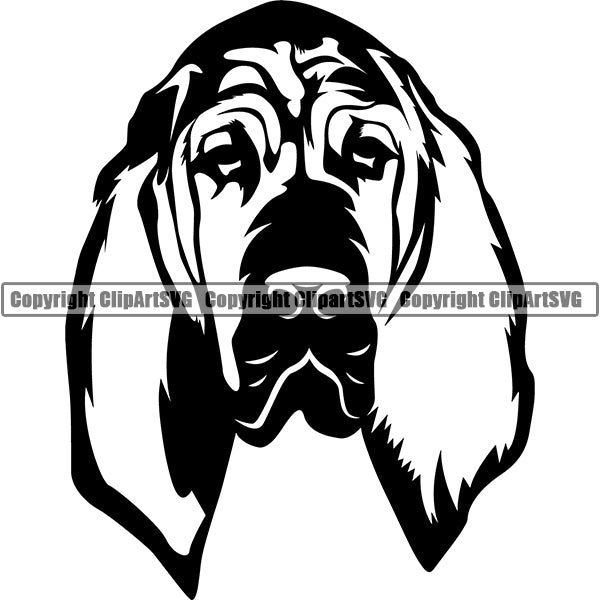Bloodhound Dog Breed Head Face ClipArt SVG