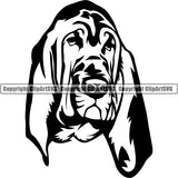 Bloodhound Dog Breed Head Face ClipArt SVG