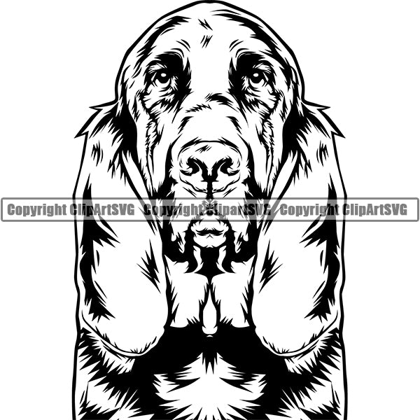 Bloodhound Dog Breed Head Face ClipArt SVG