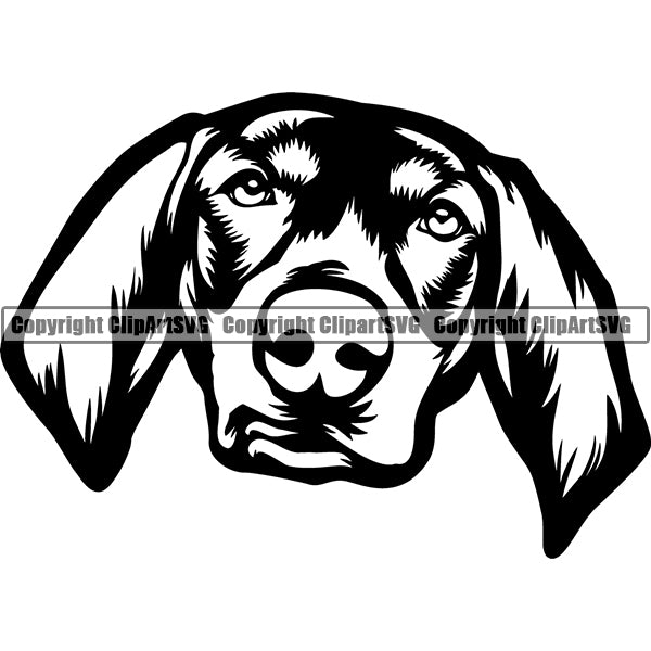 Bluetick Coonhound Dog Breed Head Face ClipArt SVG