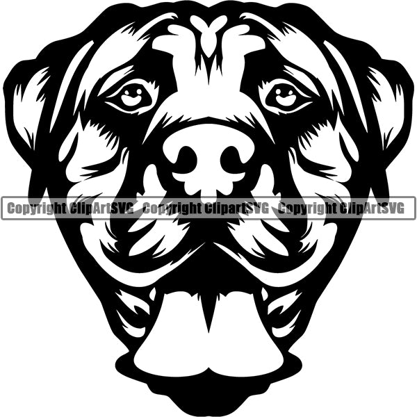 Boerboel Dog Breed Head Face ClipArt SVG