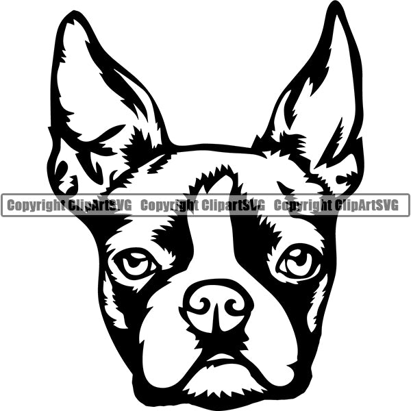 Boston Terrier Dog Breed Head Face ClipArt SVG