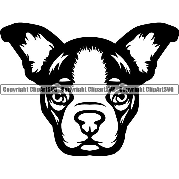 Boston Terrier Dog Breed Head Face ClipArt SVG