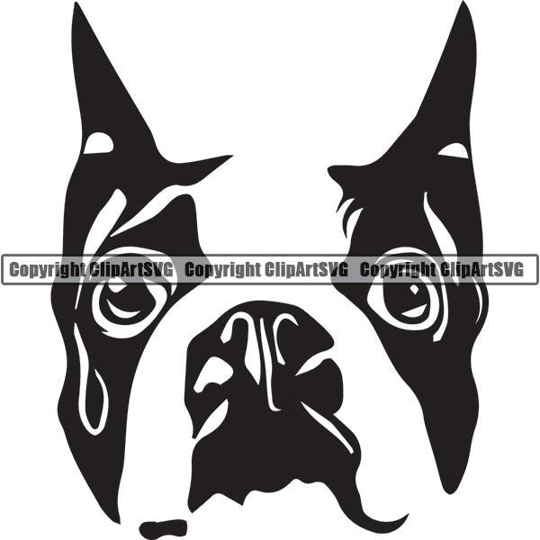 Boston Terrier Dog Breed Head Face ClipArt SVG
