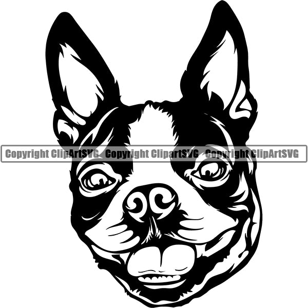 Boston Terrier Dog Breed Head Face ClipArt SVG