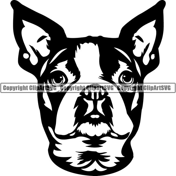 Boston Terrier Dog Breed Head Face ClipArt SVG