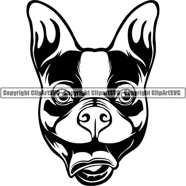 Boston Terrier Dog Breed Head Face ClipArt SVG